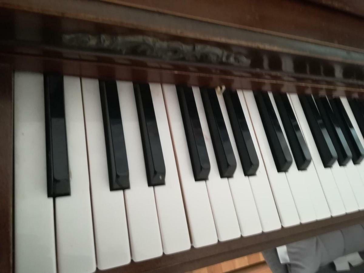 The Piano Apartment Zavalatica Extérieur photo